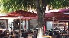 Parasol Master 300x300 cm ref.899