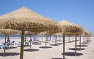 Parasol Esparto