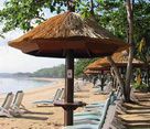Parasol Cocotier _ Alang