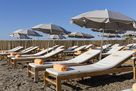 Clotur eplage - Bambou naturel (1)